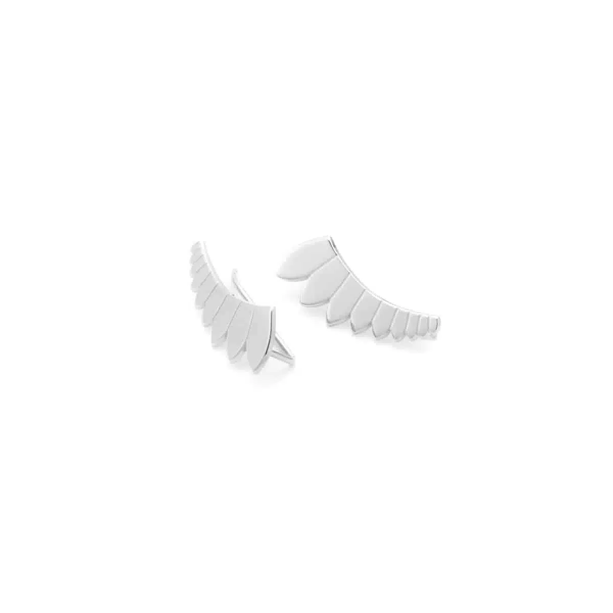 WINGS AG
