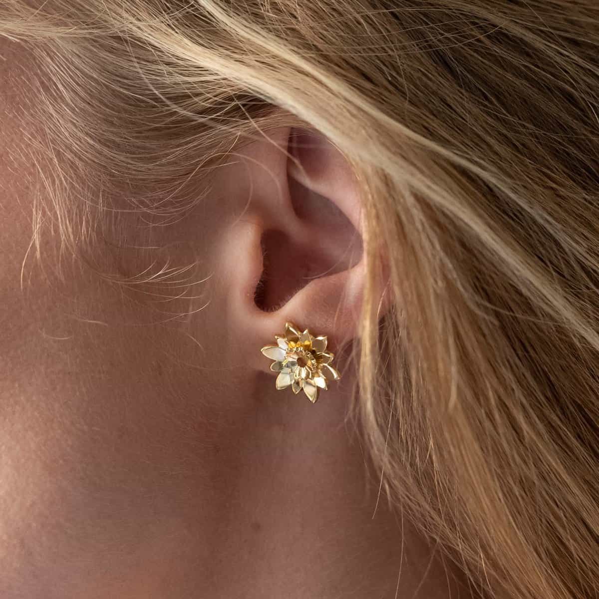 Dites-le avec des Fleurs 6 DAHLIA MED