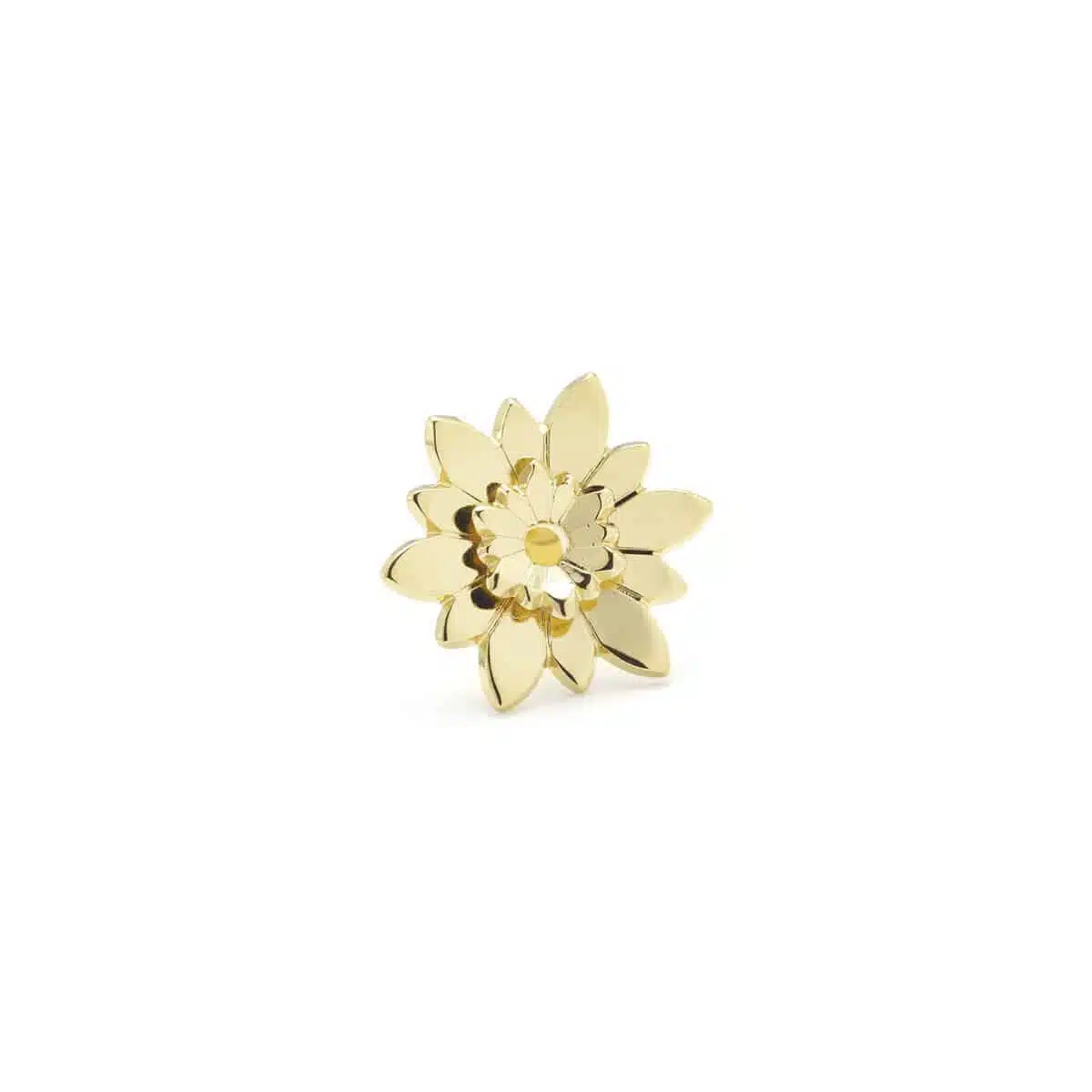 DAHLIA3