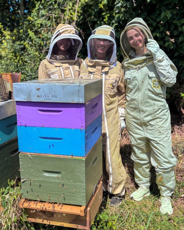 The Visiting Team at the Hive - Apidae - un chic fou